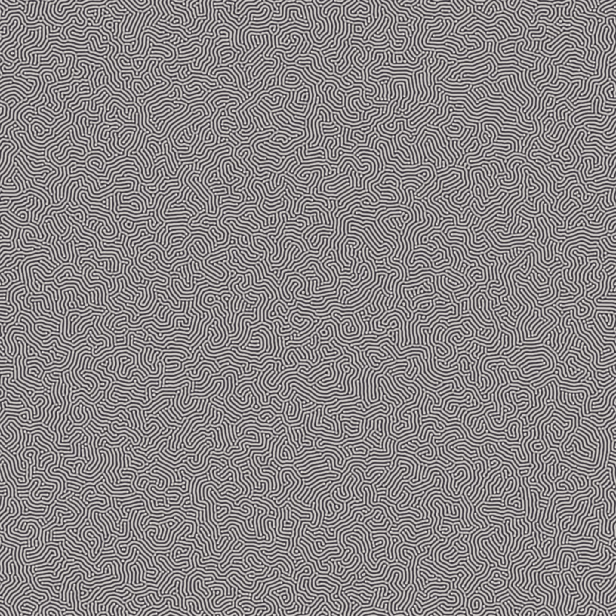 Gray-Scott reaction-diffusion pattern study, variant